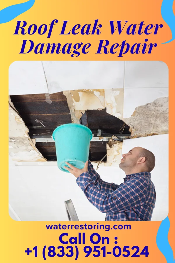Roof Leak Water Damage Repair in Olton, TX